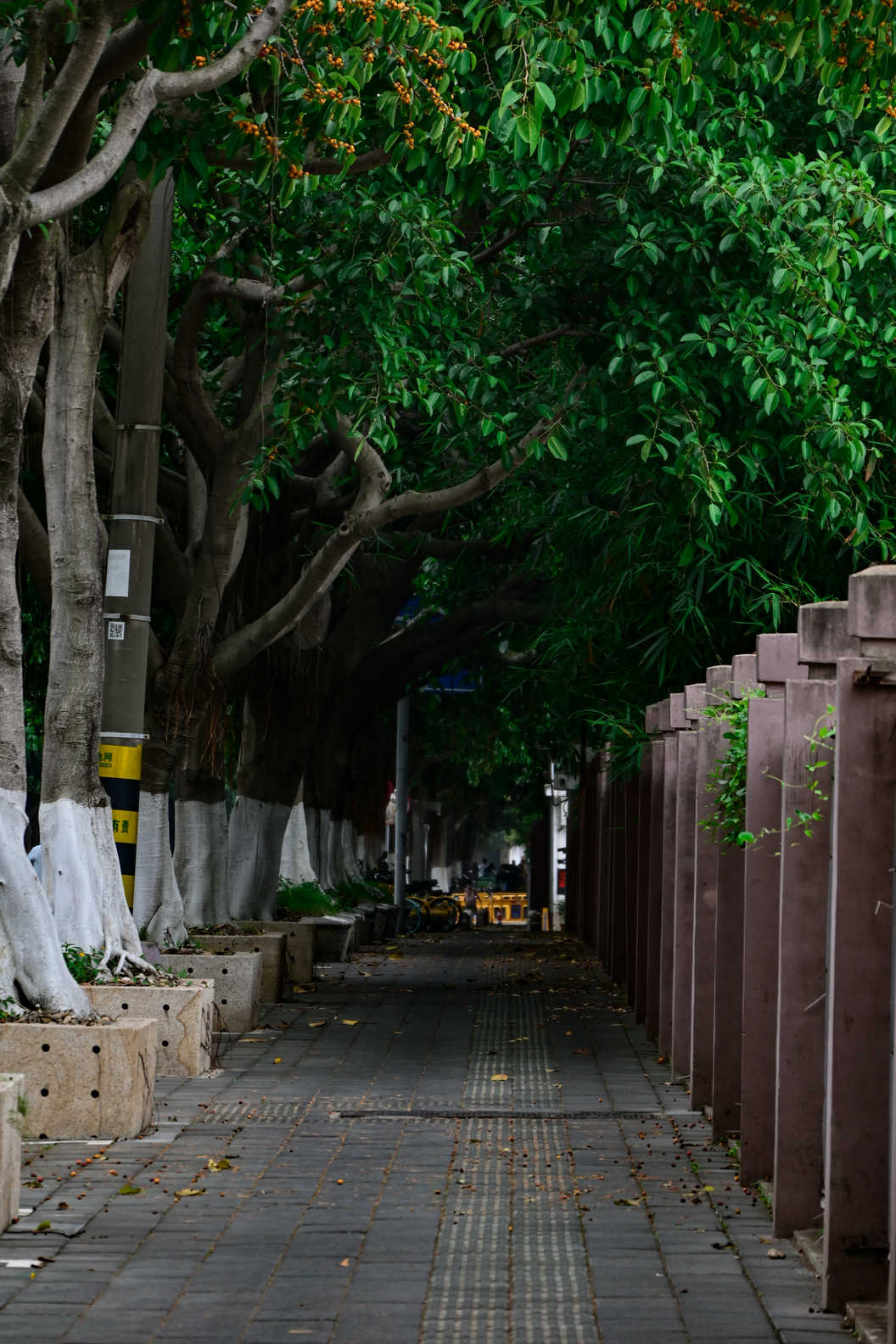 城市风光系列 DSC_1584